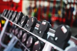 Close-up of a rack of professional rubber-coated dumbbells in a gym
